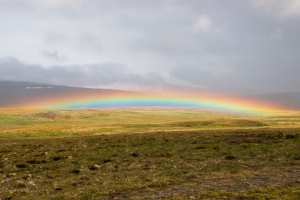 Low Altitude Rainbow Close to Ground