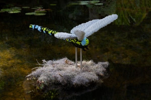 LEGO Dragonfly on Pond