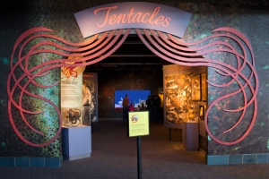 Tentacles Entrance Sign
