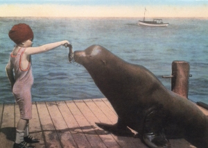 1915 Postcard Featuring Child Feeding Old Ben the Sea Lion at Dock