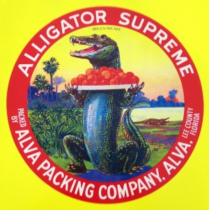 Vintage Alligator Orange Fruit Crate Label