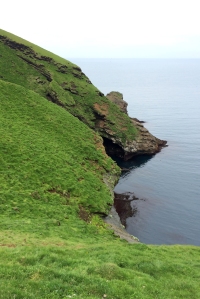Puffin Nesting Cliff