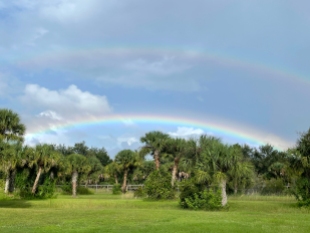 Double Rainbow Over Yard